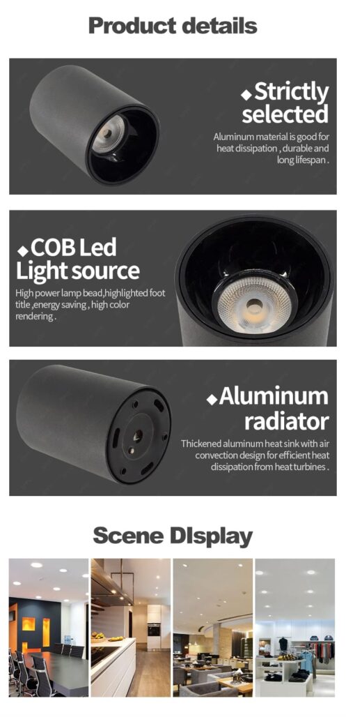 Surface Downlight - Image 3