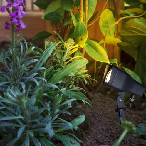 LED Garden Light - Image 4