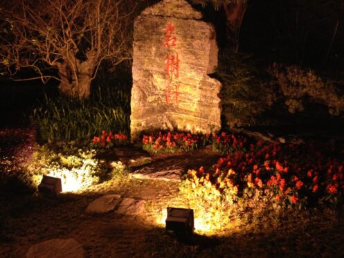 Outdoor Light - Image 12