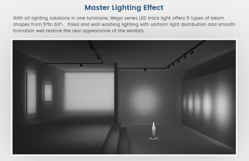 Mega Series Track Light - Image 6
