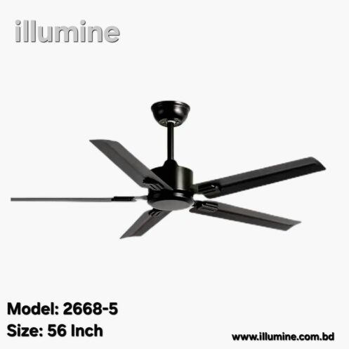 Decorative Ceiling Fan