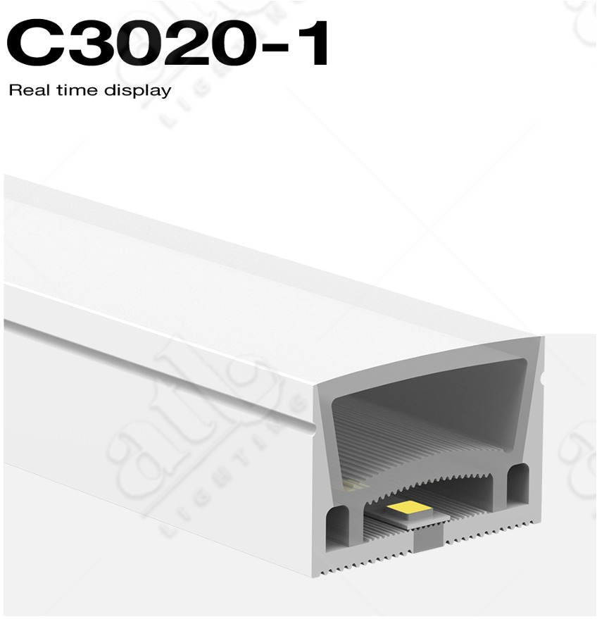 C3020 - 1 Silicon Profile